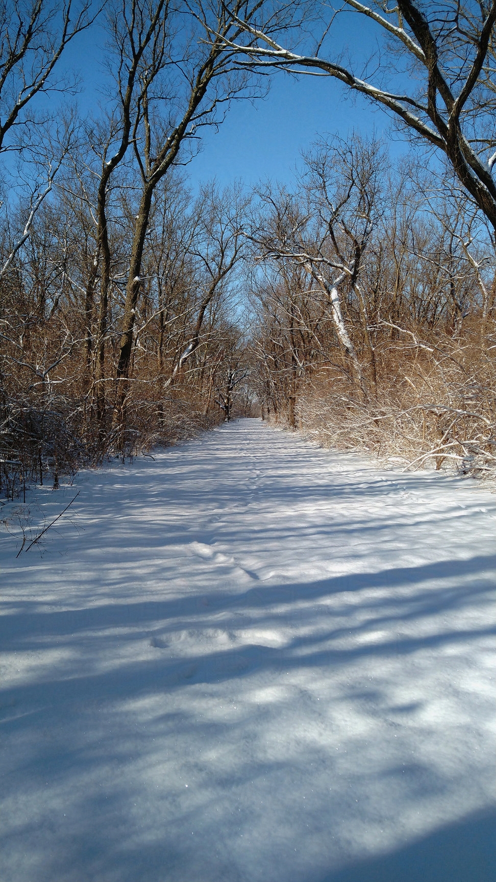 Snow Trail